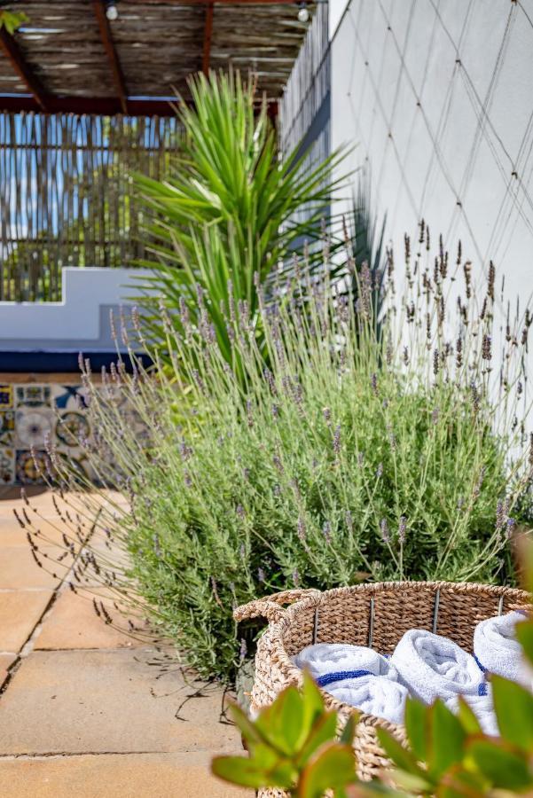 Hout & About Guest House Hout Bay Luaran gambar